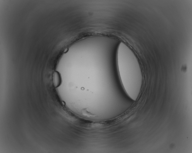 X0000096630462200802050938