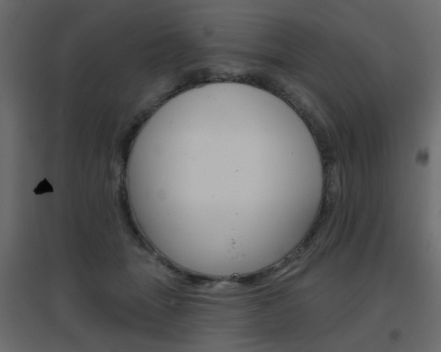 X0000096630463200802050938