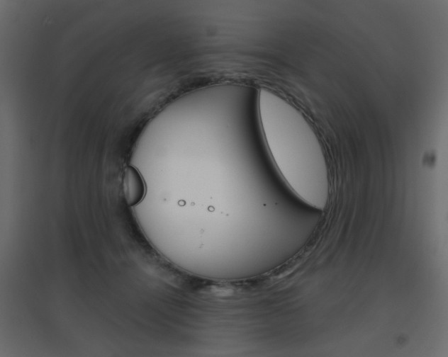 X0000096630464200802050938