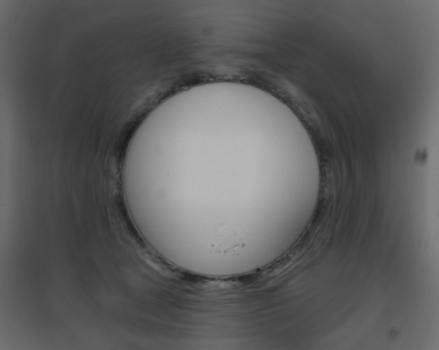 X0000096630465200802050938