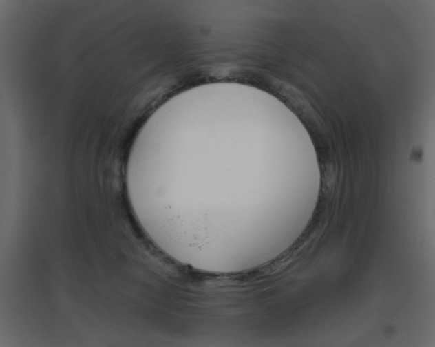 X0000096630470200802050938