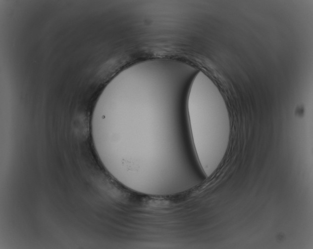 X0000096630471200802050938
