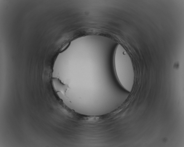 X0000096630474200802050938