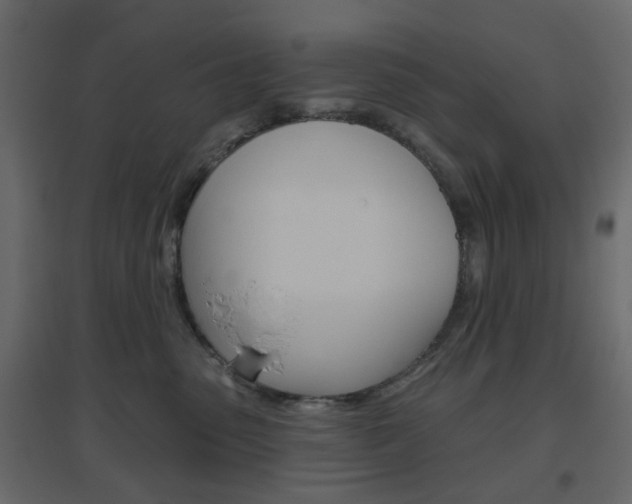 X0000096630475200802050938