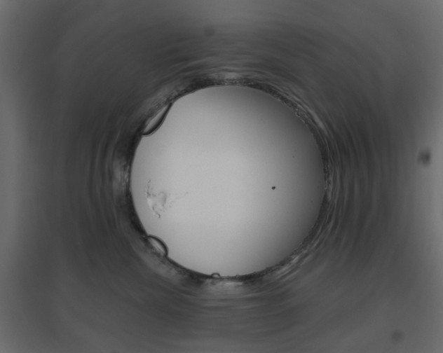 X0000096630476200802050938