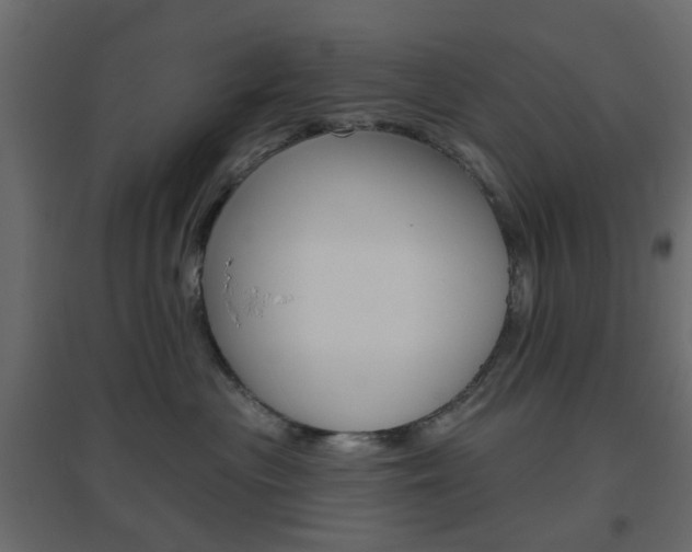 X0000096630477200802050938