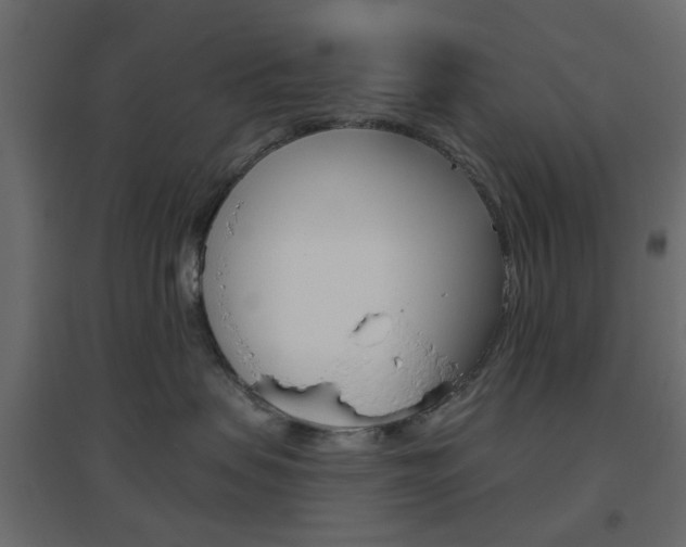 X0000096630479200802050938
