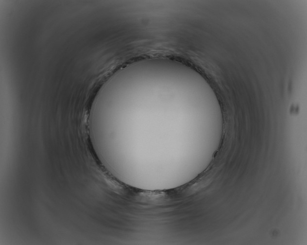 X0000096630480200802050938