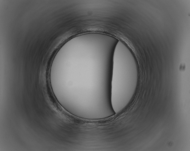 X0000096630482200802050938