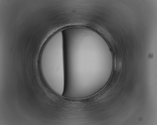 X0000096630483200802050938