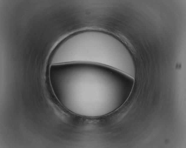 X0000096630484200802050938
