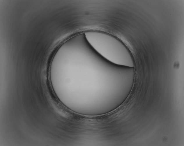 X0000096630486200802050938