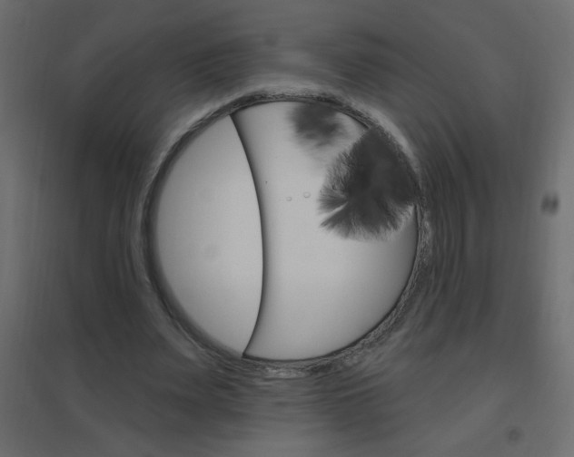 X0000096630487200802050938