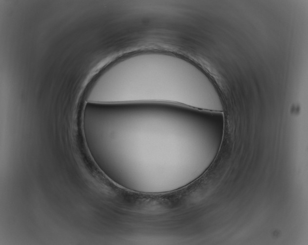 X0000096630488200802050938