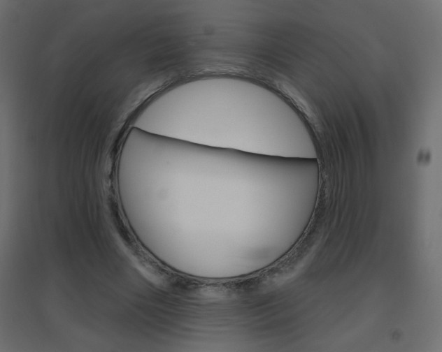 X0000096630490200802050938