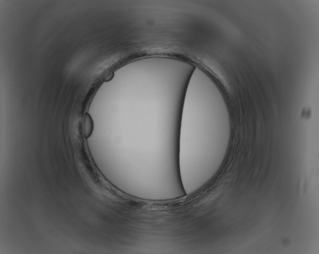 X0000096630491200802050938