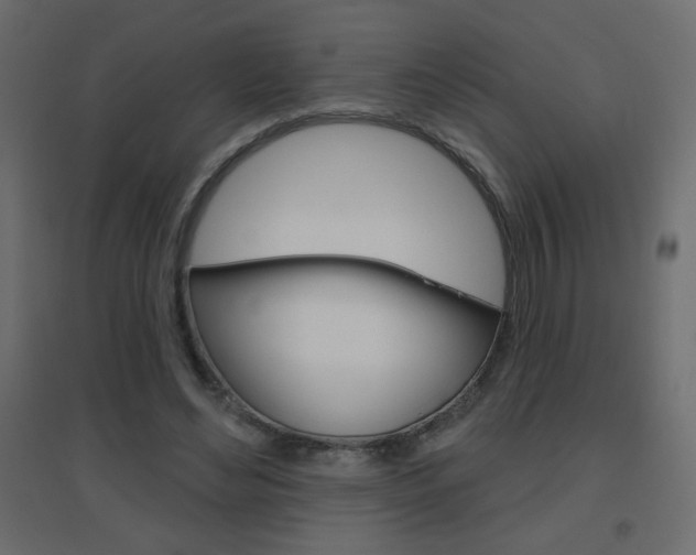 X0000096630492200802050938
