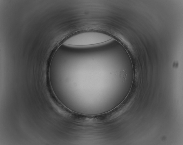 X0000096630493200802050938