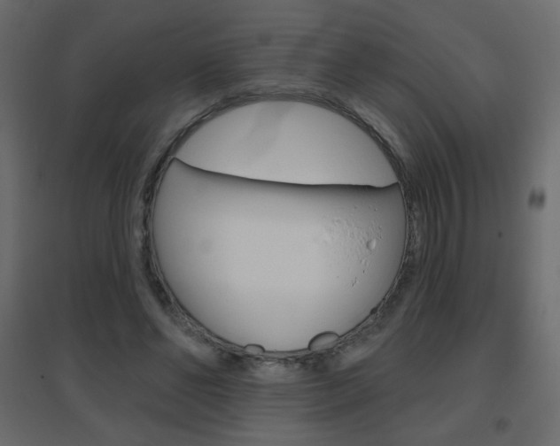 X0000096630494200802050938