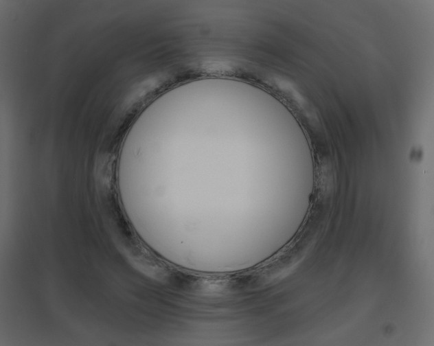 X0000096630495200802050938