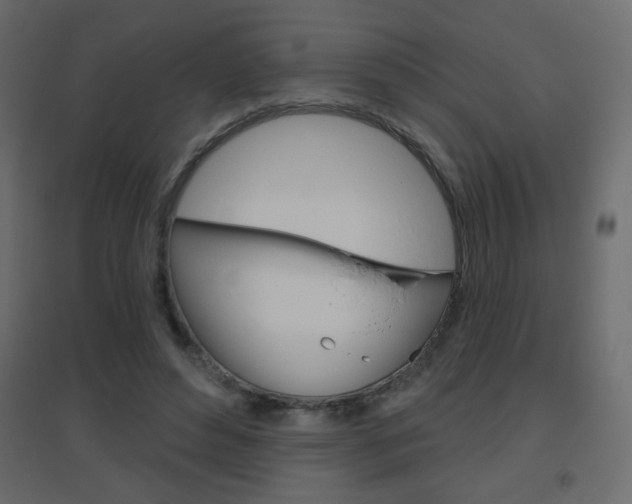 X0000096630496200802050938