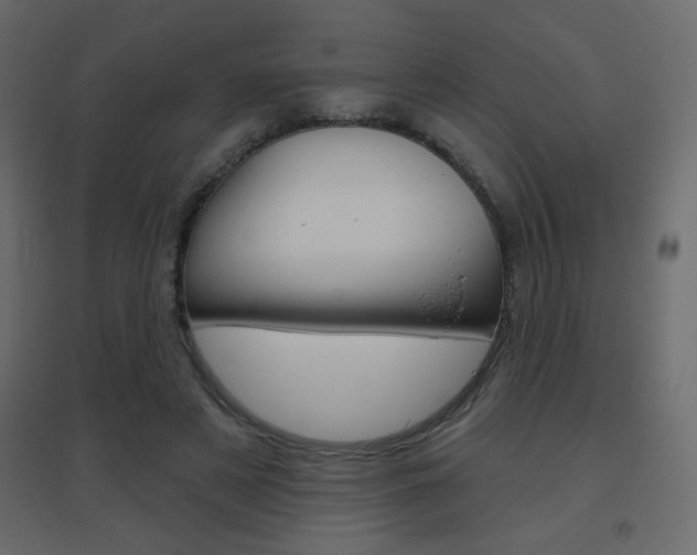 X0000096630497200802050937
