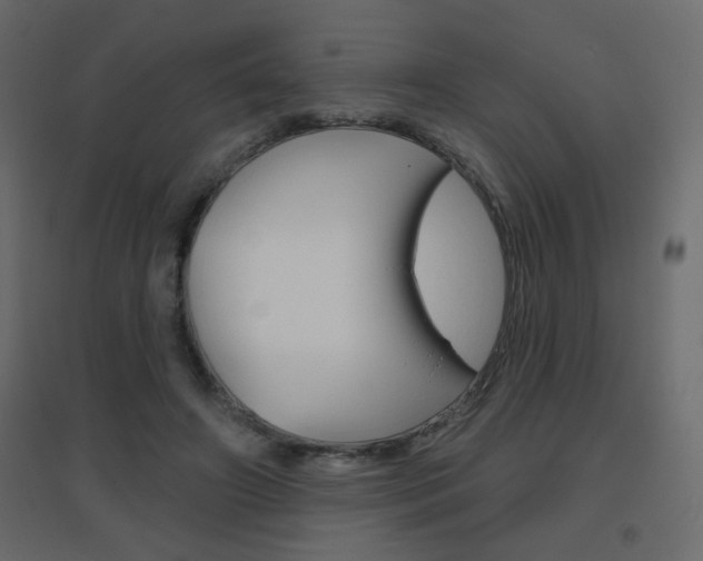X0000096630498200802050937