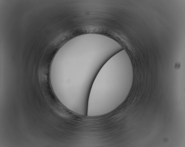 X0000096630499200802050937