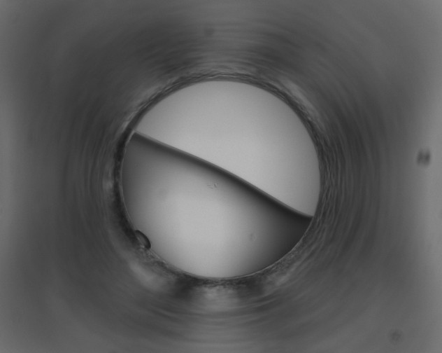 X0000096630500200802050937