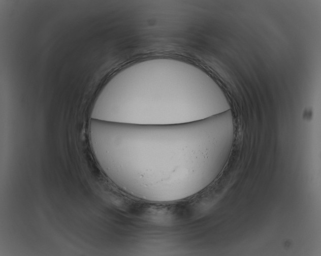 X0000096630502200802050937