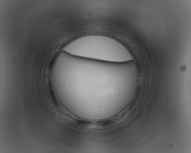 X0000096630504200802050937