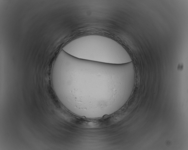 X0000096630506200802050937