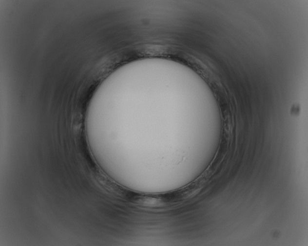 X0000096630507200802050937