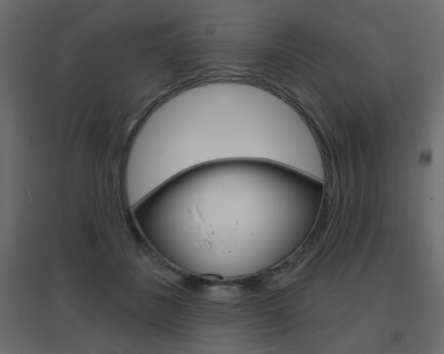 X0000096630508200802050937