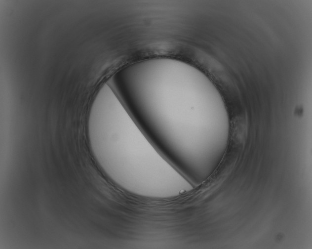X0000096630509200802050937