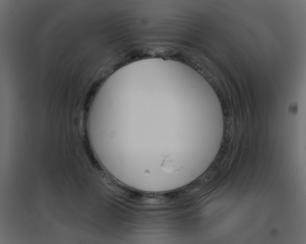 X0000096630510200802050937