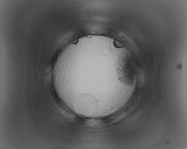 X0000096630511200802050937