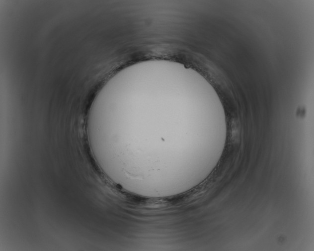 X0000096630514200802050937
