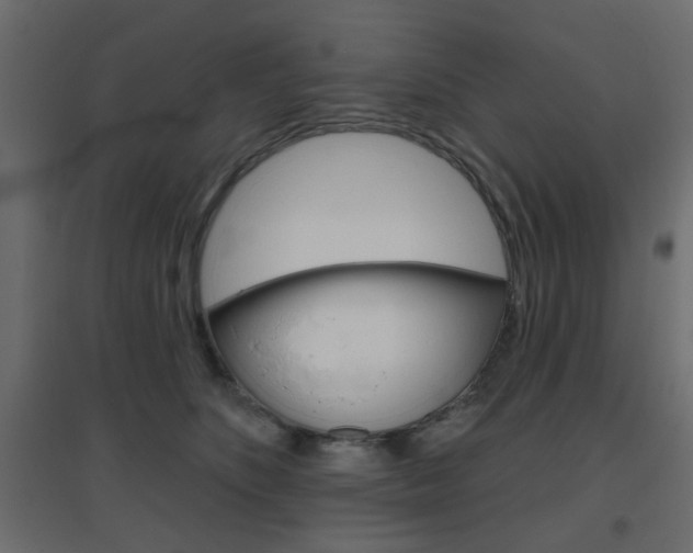 X0000096630516200802050937