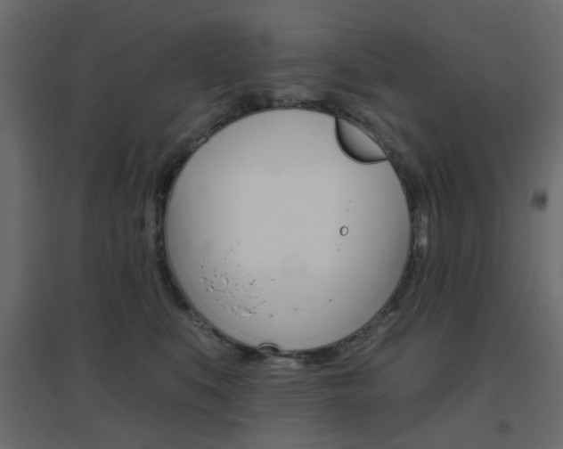 X0000096630519200802050937