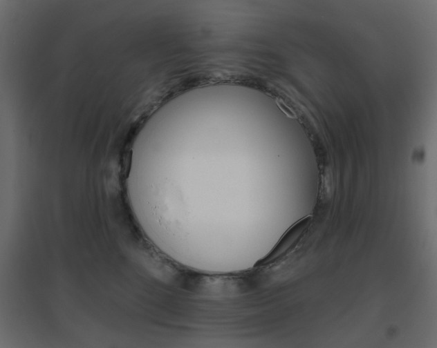 X0000096630520200802050937