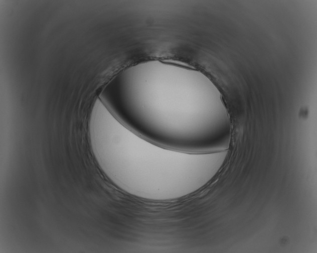 X0000096630521200802050937