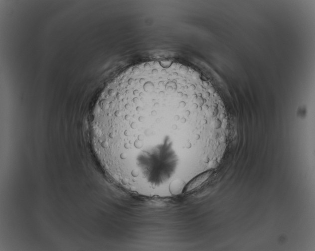 X0000096630523200802050937