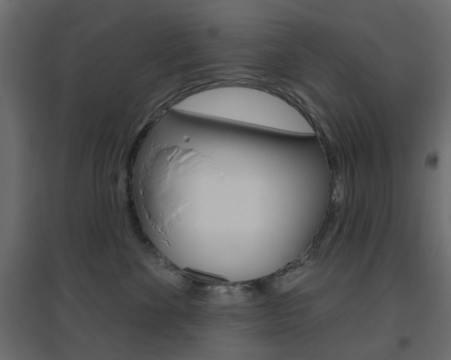 X0000096630524200802050937