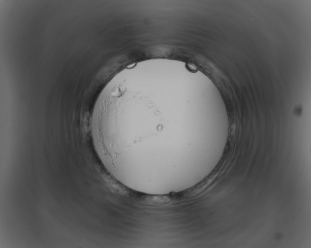 X0000096630525200802050937