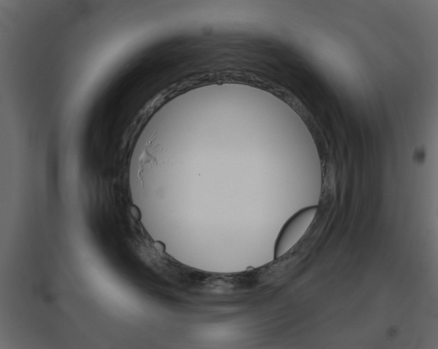 X0000096630526200802050937