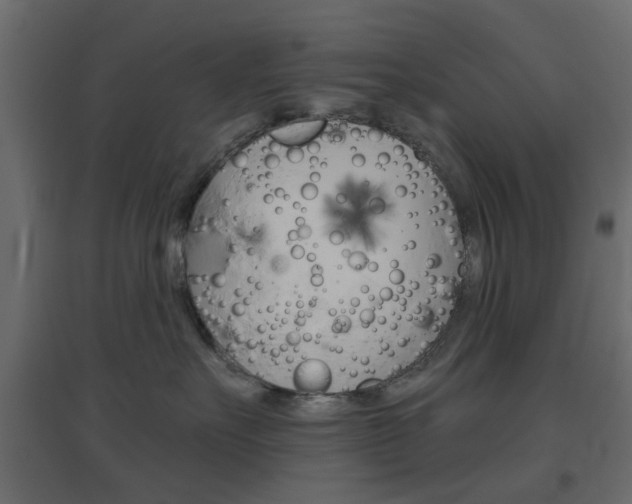 X0000096630527200802050937