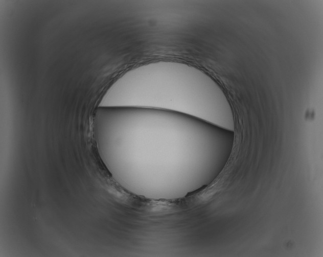 X0000096630528200802050937
