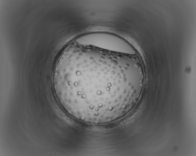 X0000096630529200802050936