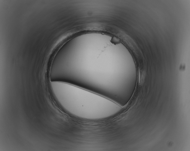 X0000096630531200802050936